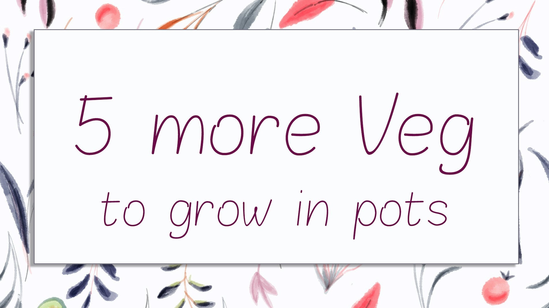 haxnicks- growing tips- grow at home- 5 more veg you can grow at home