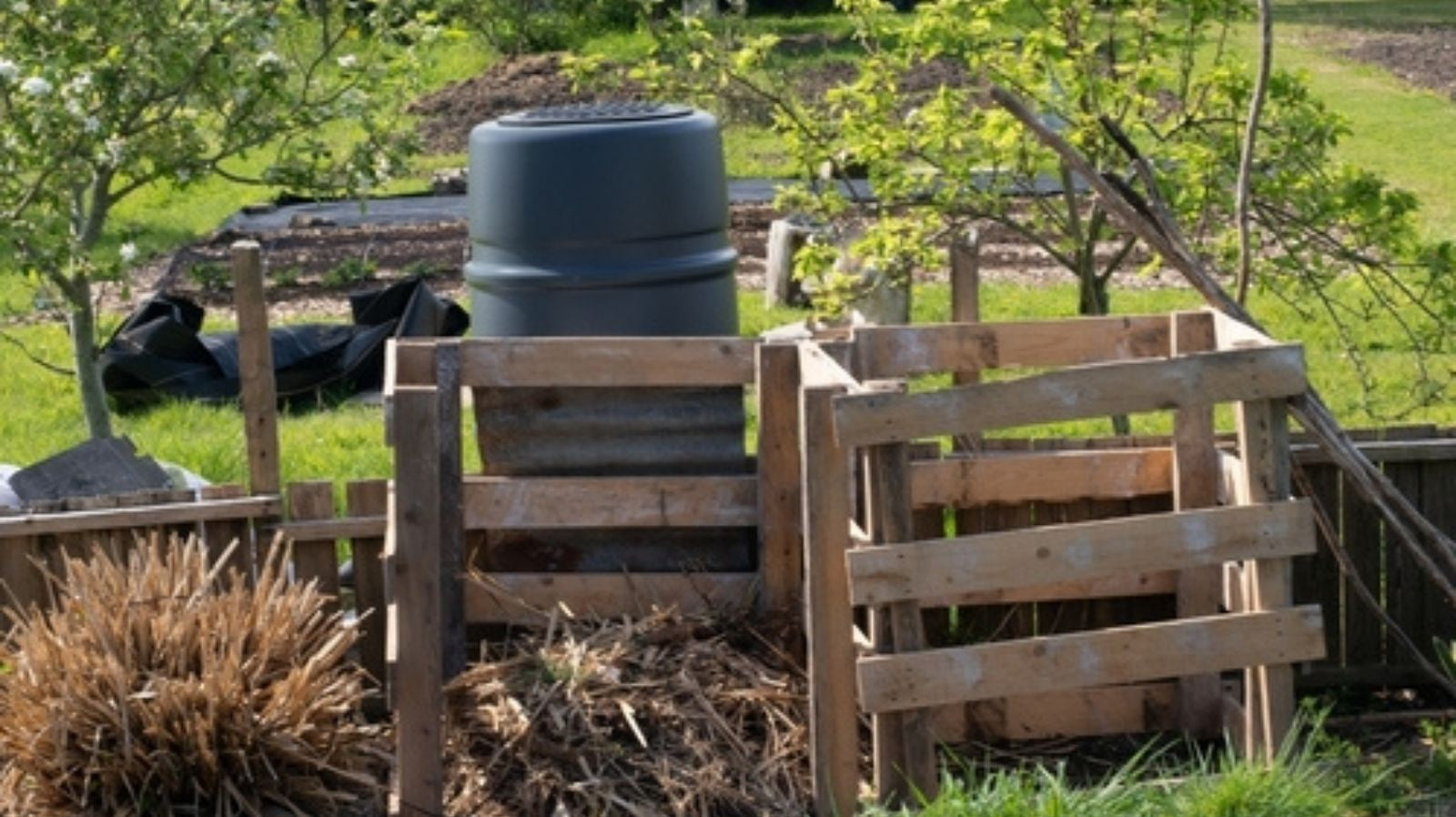 Water butt and compost bin made of pallets