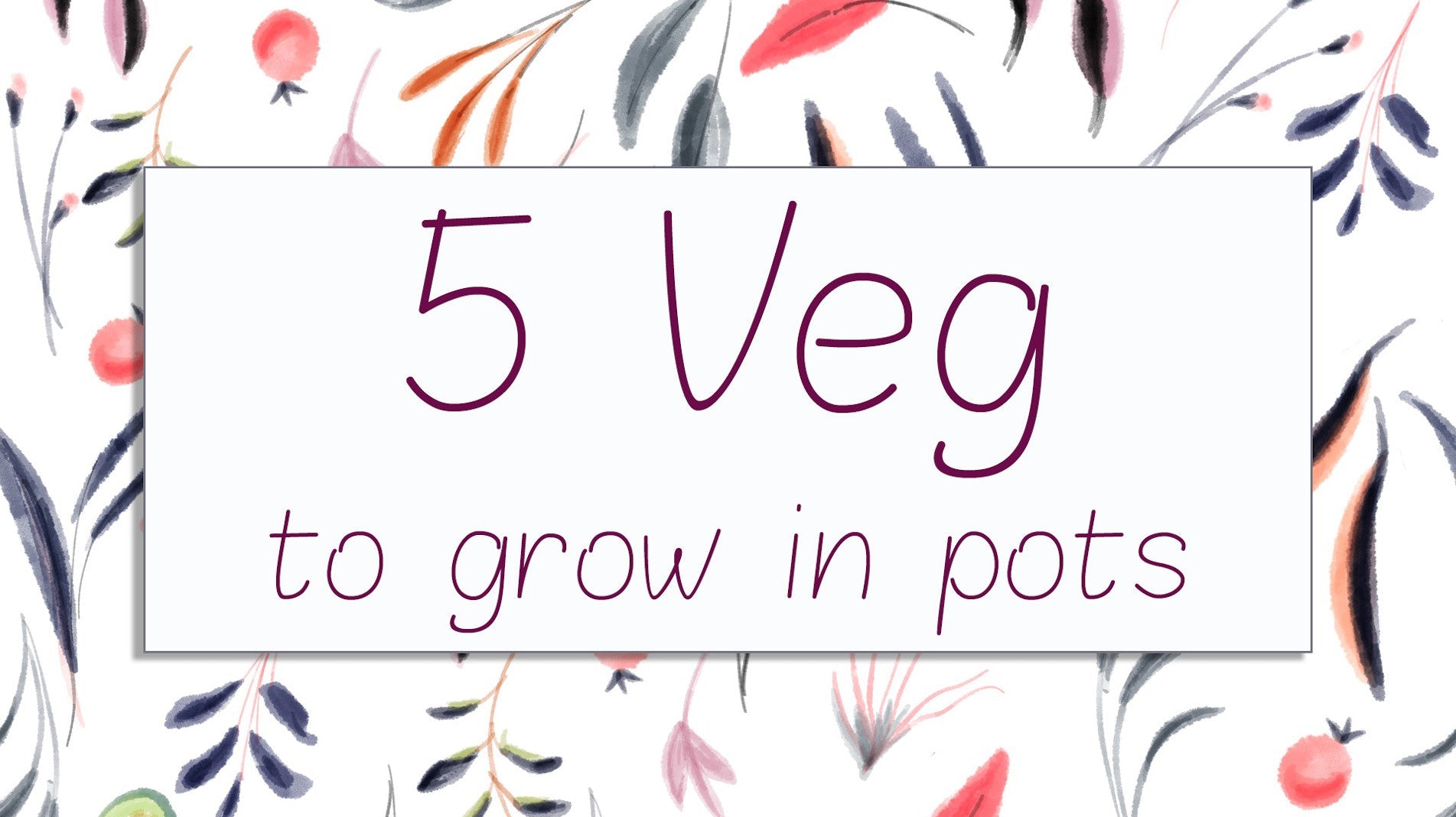 haxnicks- grow at home-growing tips- 5 veg you can easily grow in a pot or planter- urban vegetable growing