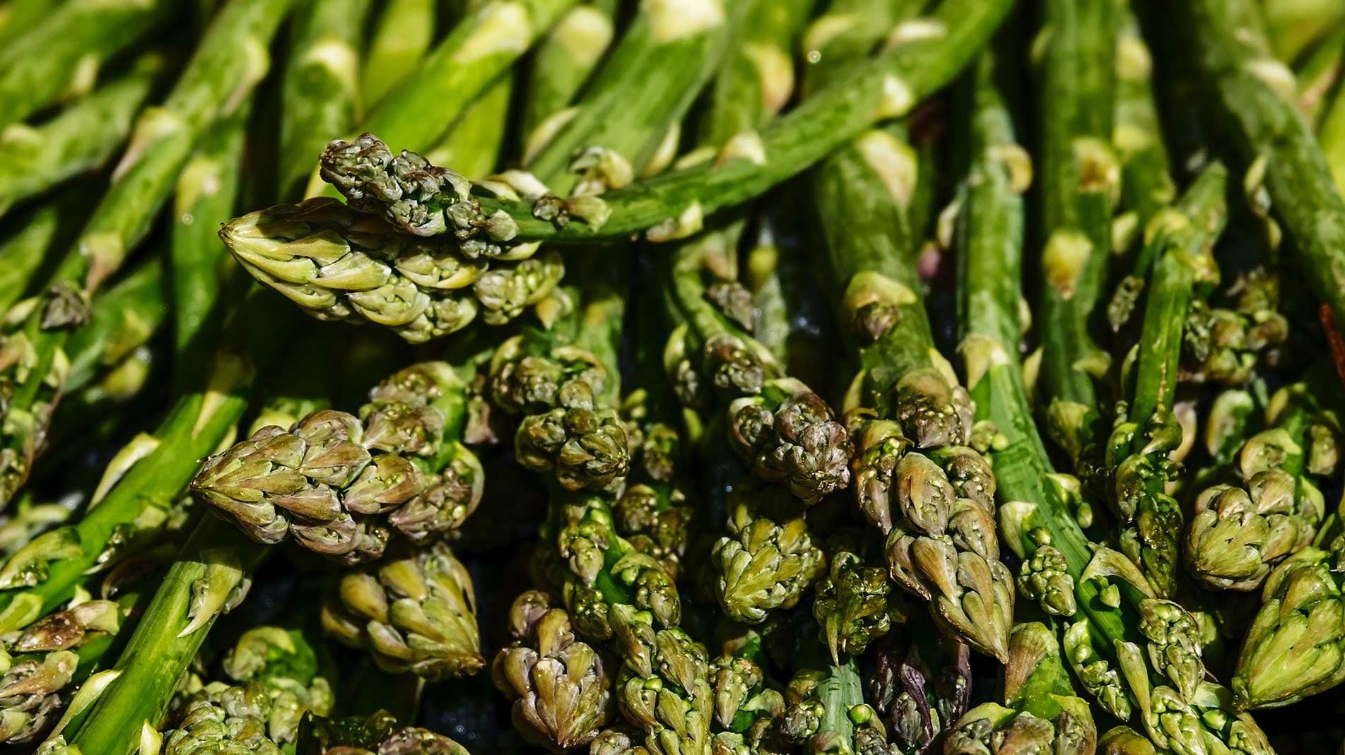 Haxnicks Gardening tips how to grow asparagus the best way