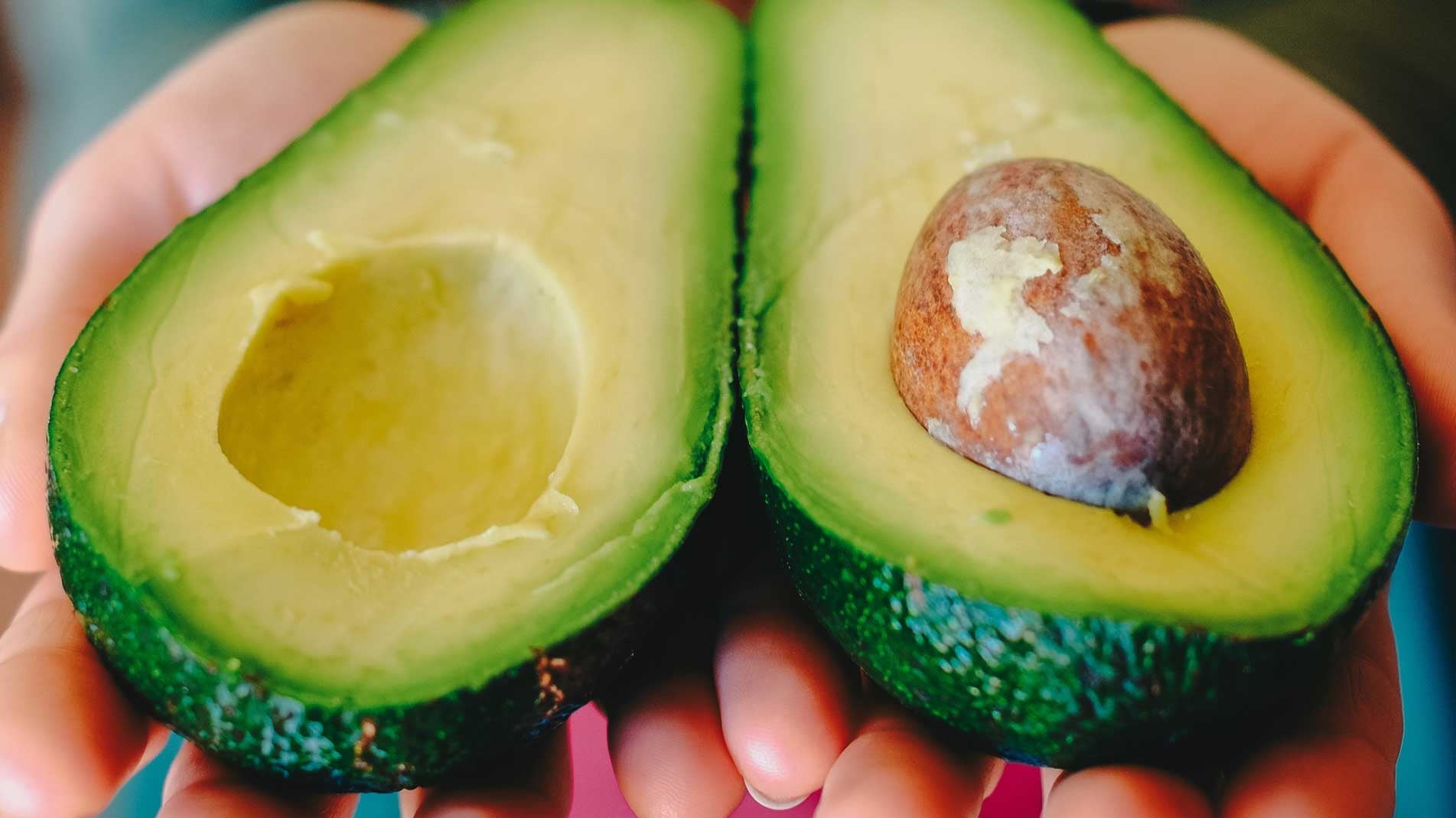 Haxnicks gardening advice how to grow avocados the best way