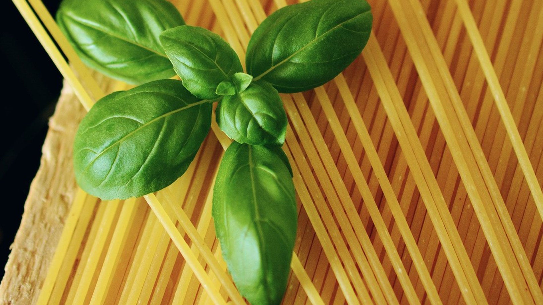 Haxnicks gardening tips and tricks the best way to grow basil herbs in containers, pots or the garden