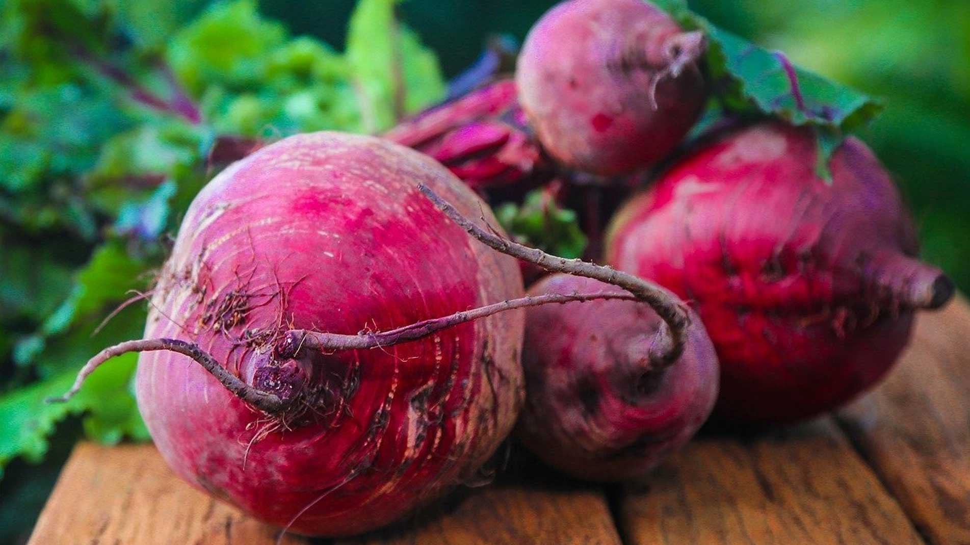 beetroot - the best way to grow beetroot