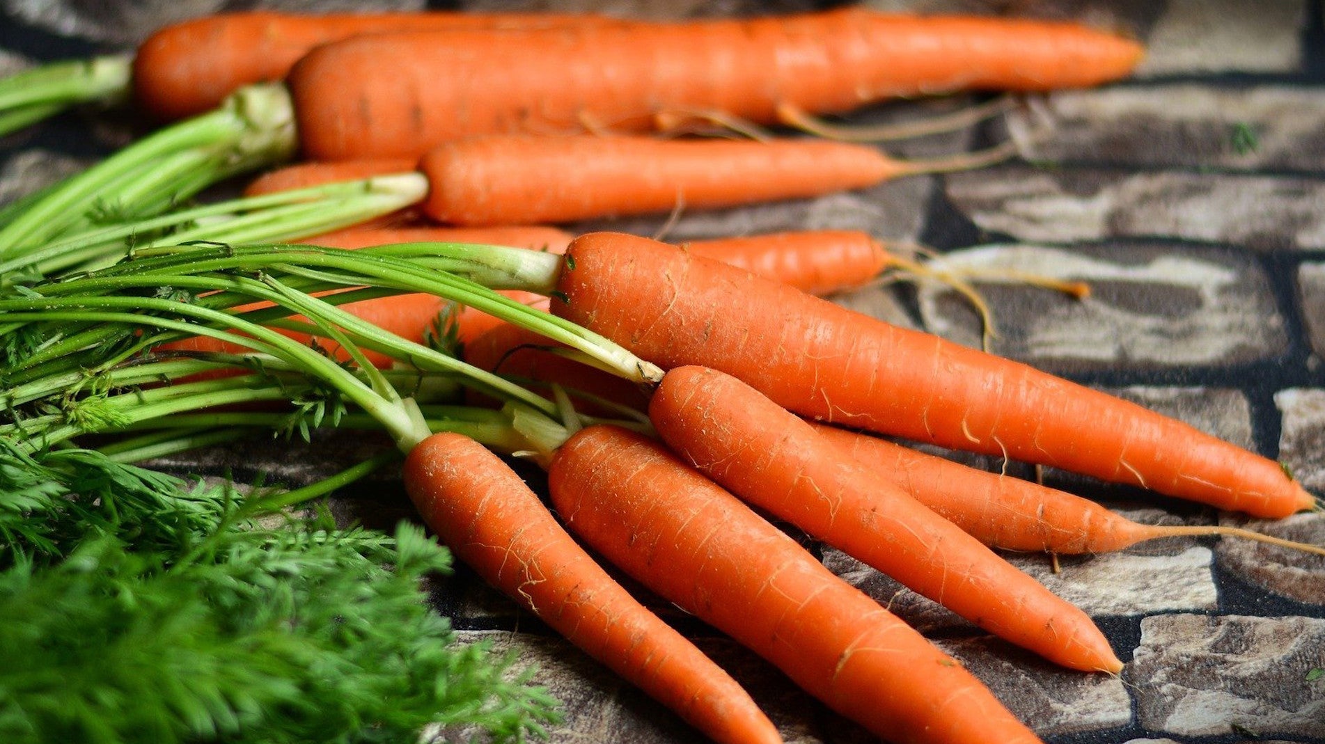 haxnicks- how to grow carrots guide- grow at home- carrot growing tips