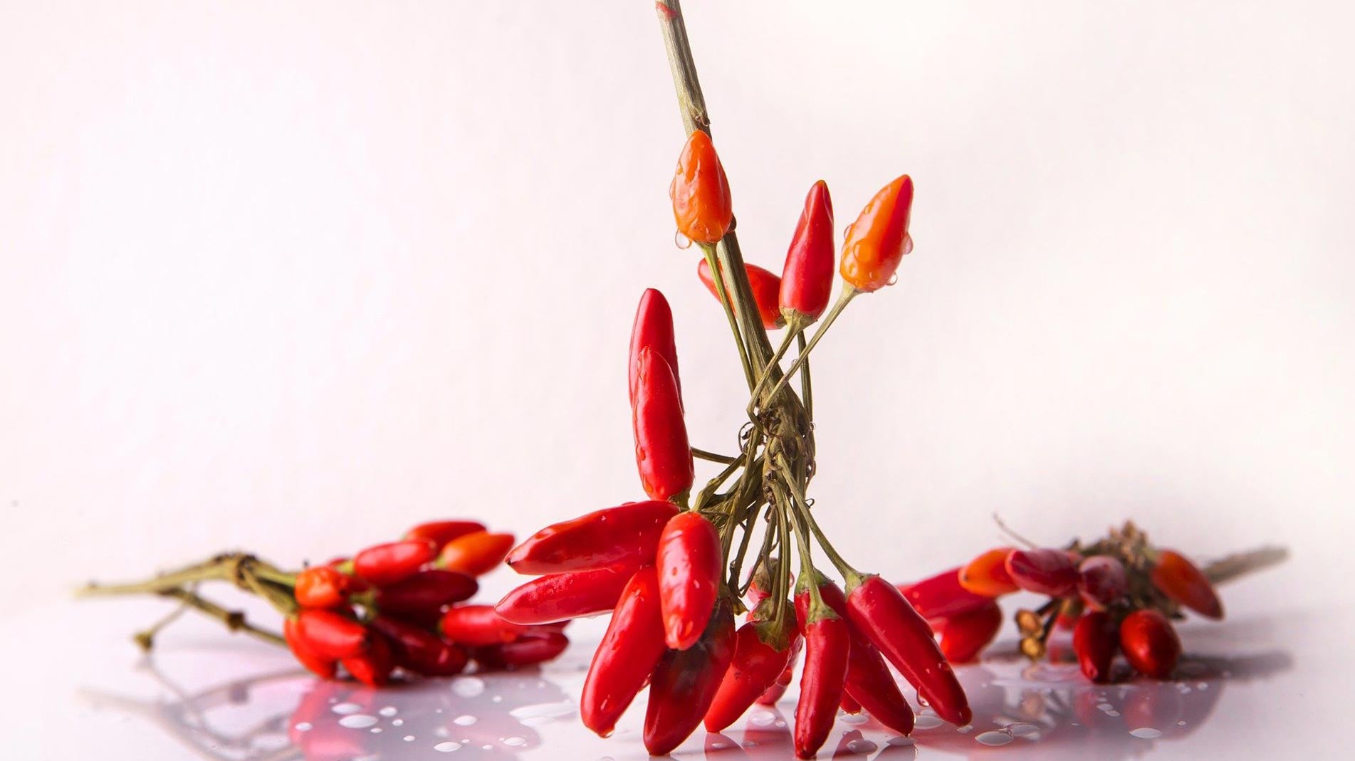 the best way to grow chillies
