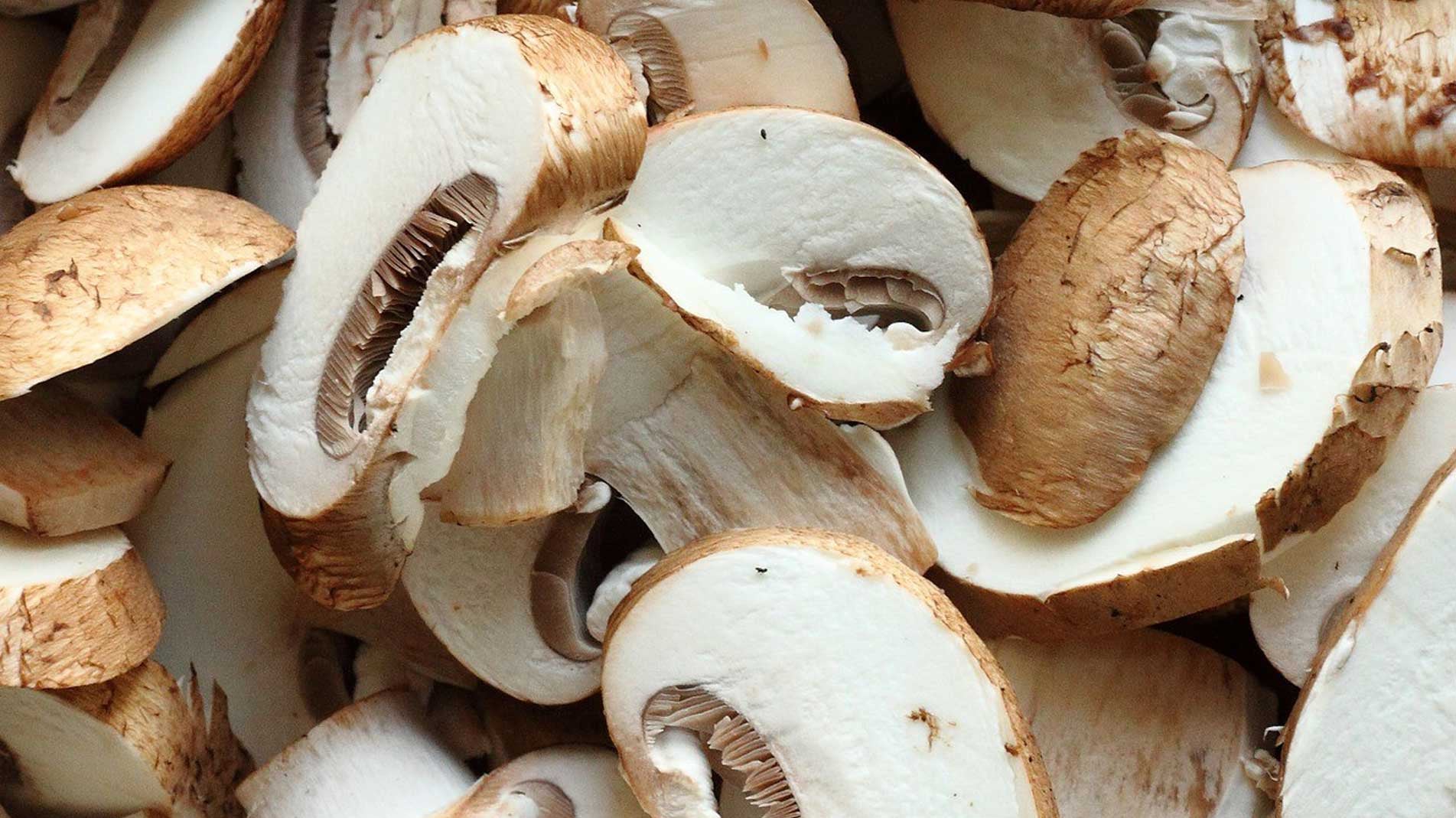 How to grow mushrooms, grow your own mushroom kit instructions
