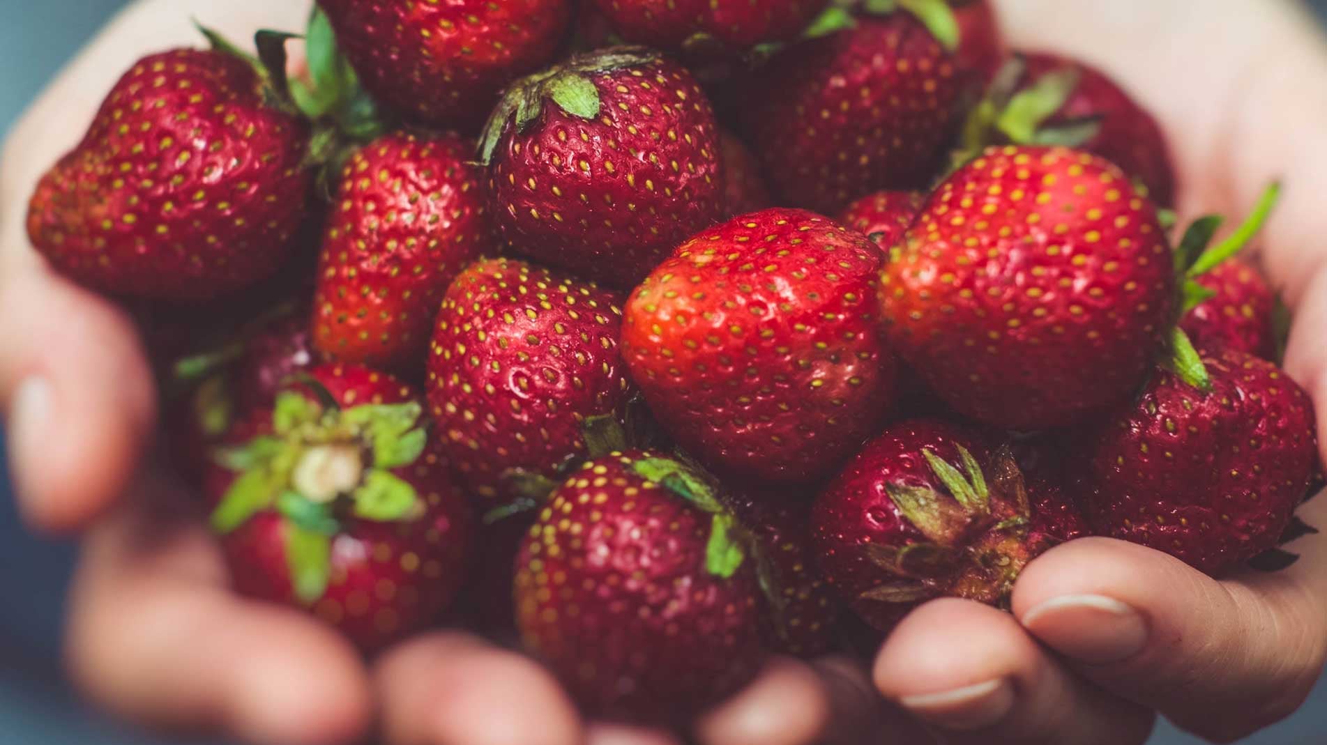 how to grow strawberries the best way