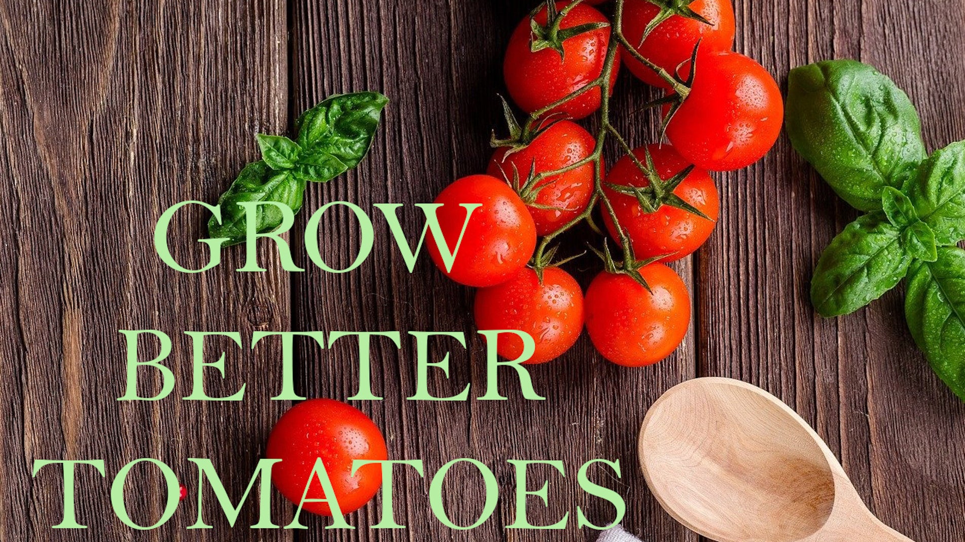 haxnicks- pot size for growing tomatoes- grow better tomatoes- tomato growing guide/tips
