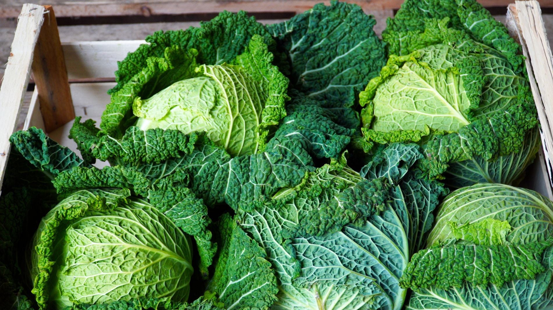 haxnicks- grow at home- winter Vegetable planting- what plants to grow in winter