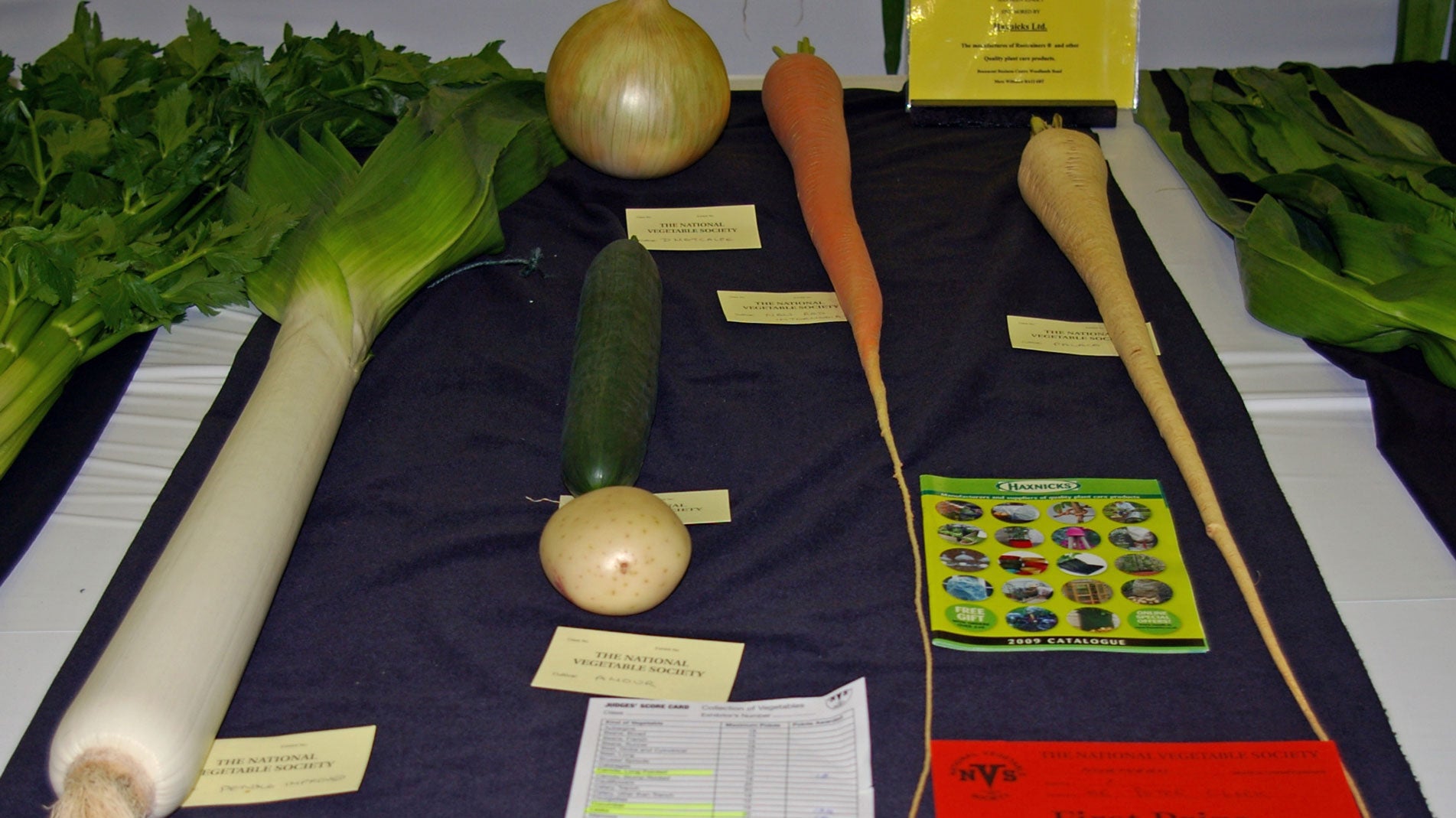 Winners of Haxnicks Schools Veg Growing Competition