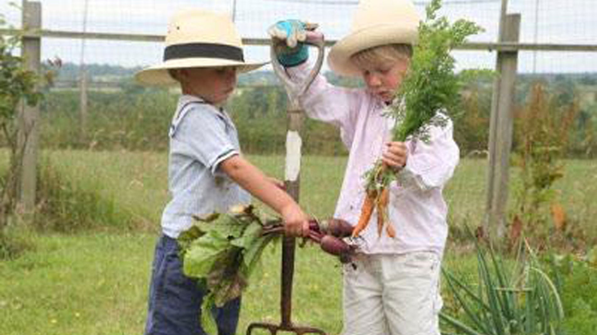 Haxnicks- kids gardening- how to get growing-basic gardening advice