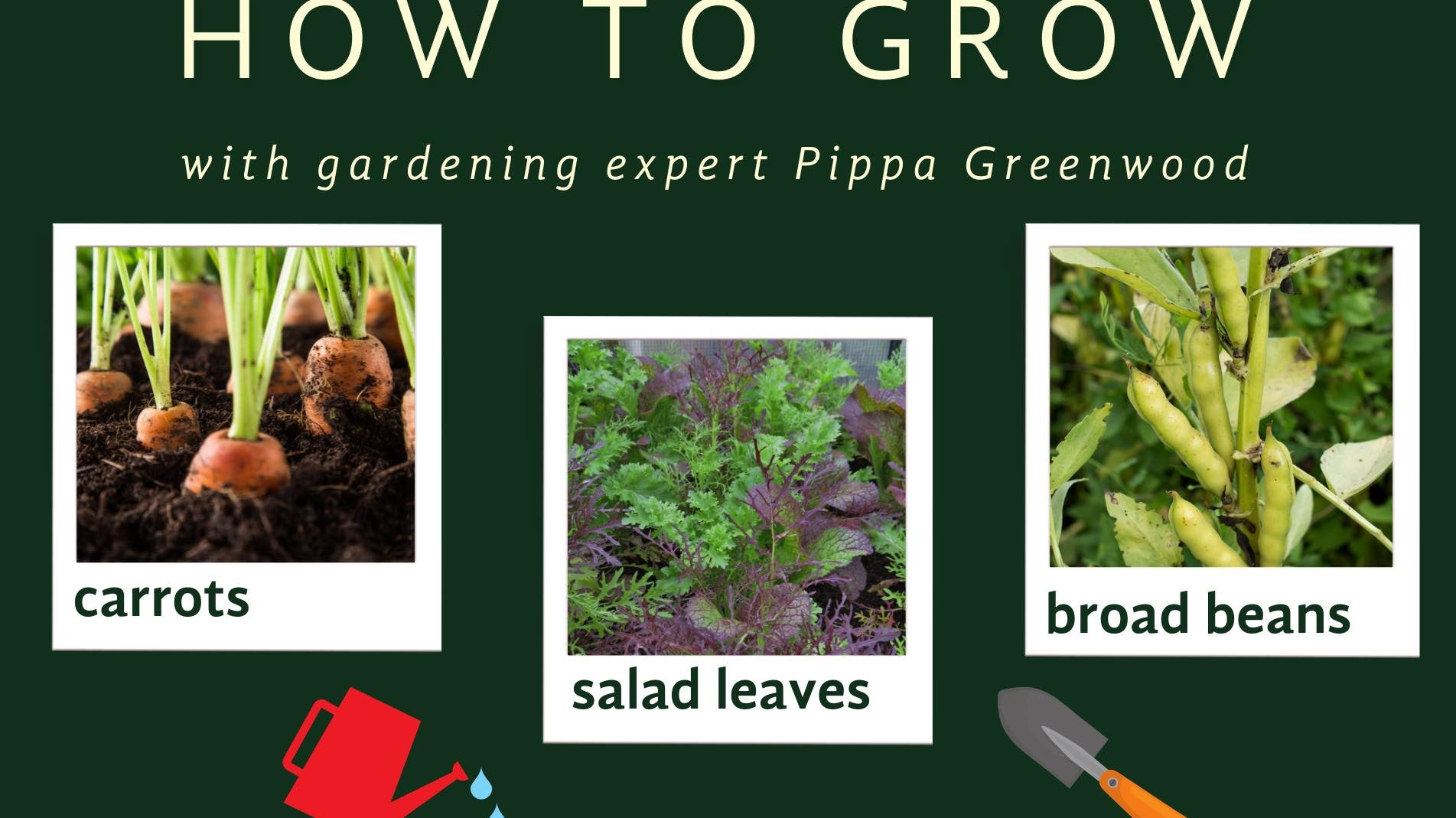 Pippa Greenwood what to plant in January