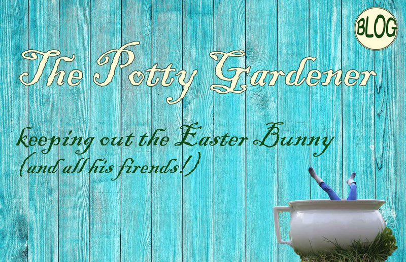 The Potty Gardener gardening blog how to keep rabbits out of your garden