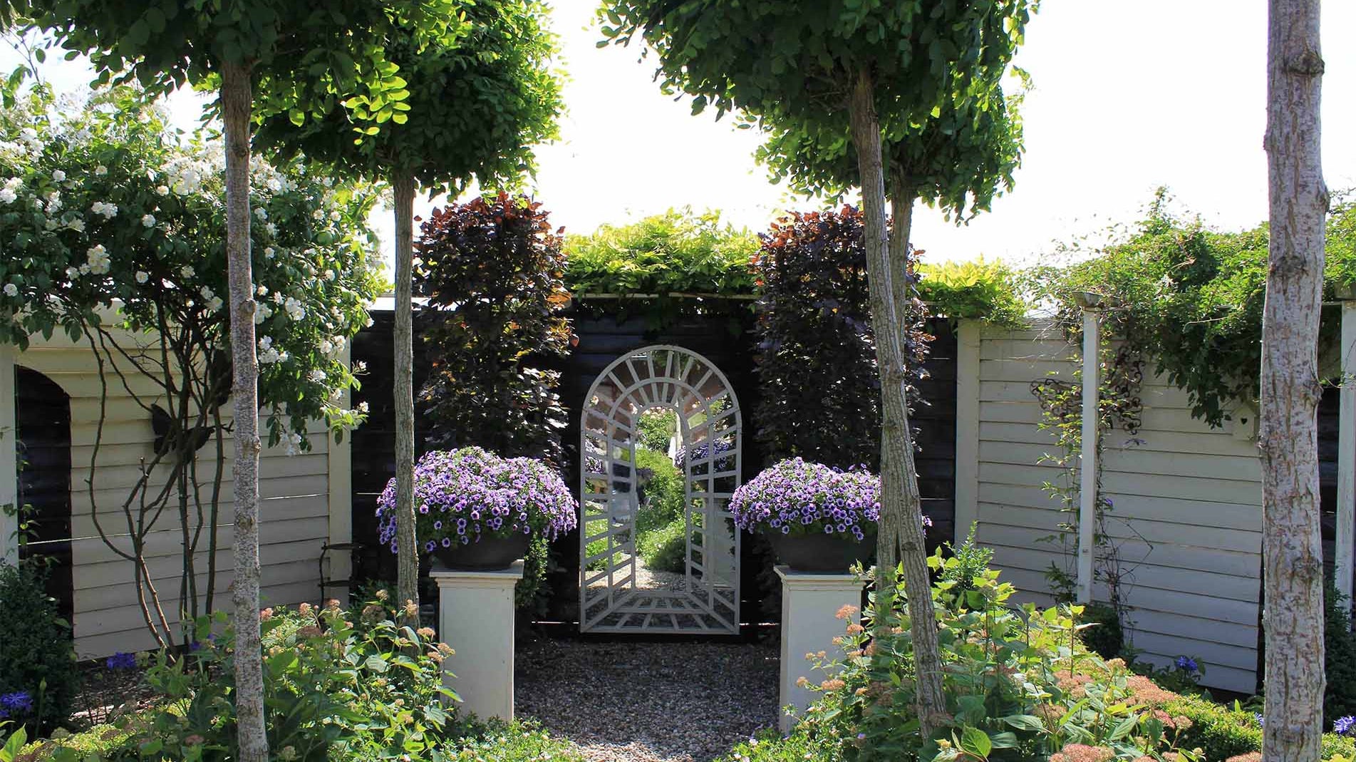 Haxnicks gardening advice how to grow in a small space and raised beds