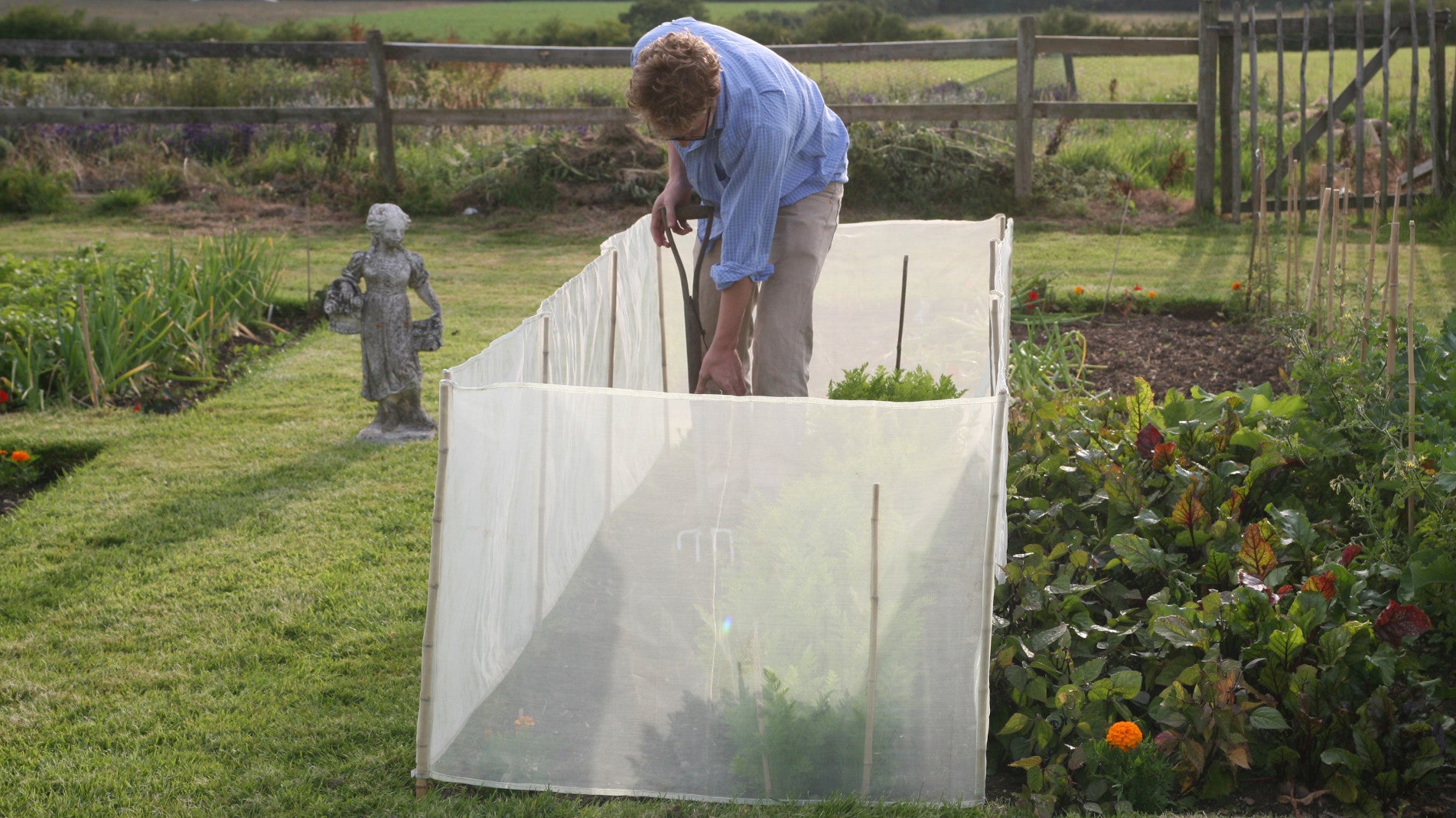 haxnicks- MicroMesh pest and wind barrier- plant protection- protective plant barrier-pest protection