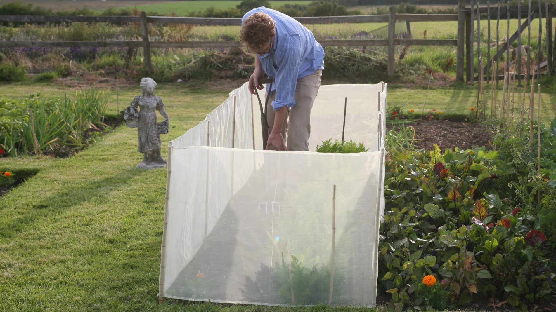 haxnicks- MicroMesh pest and wind barrier- plant protection- protective plant barrier-pest protection