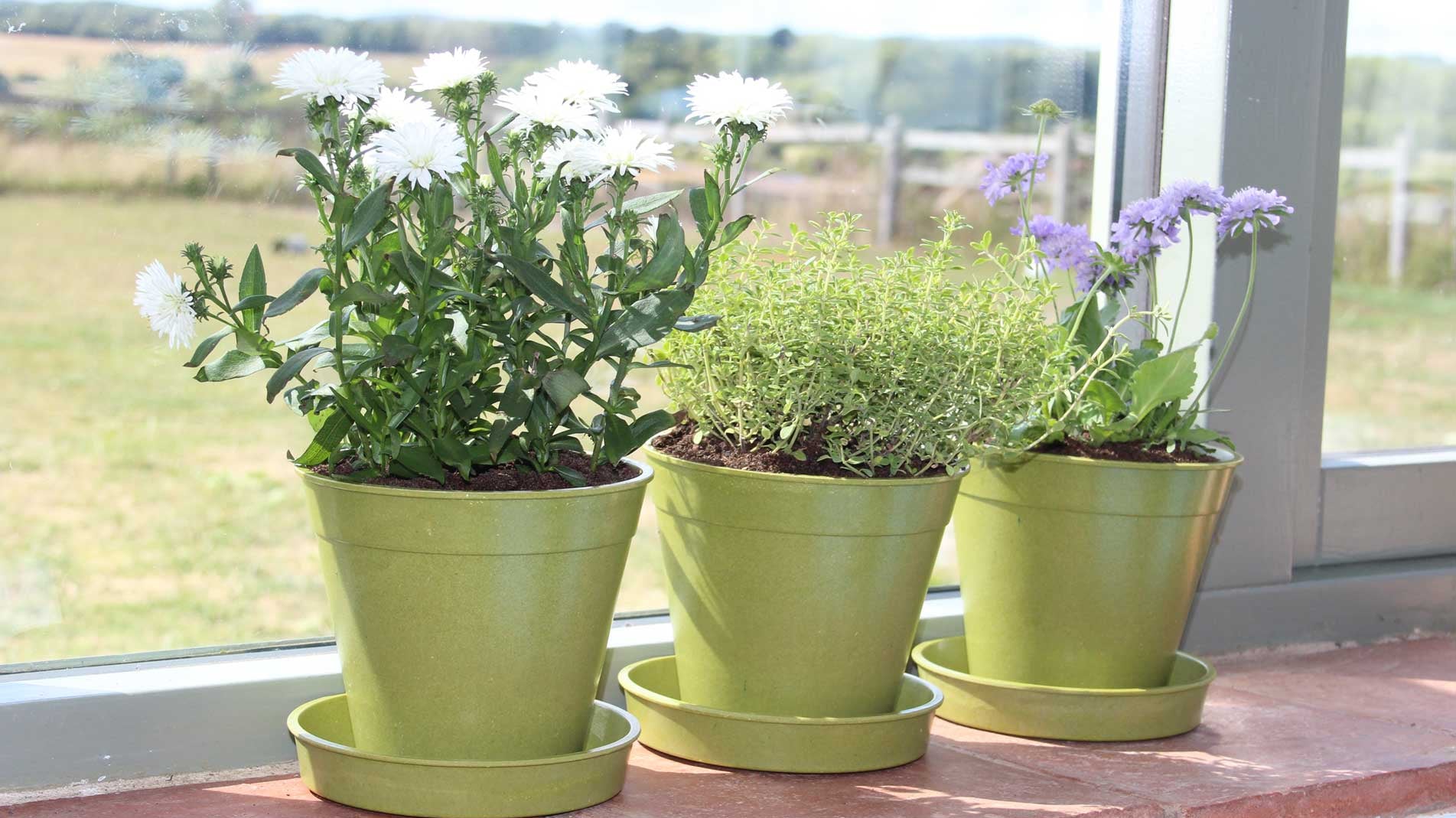 Haxnicks introduces more sustainable gardening tools to its range.