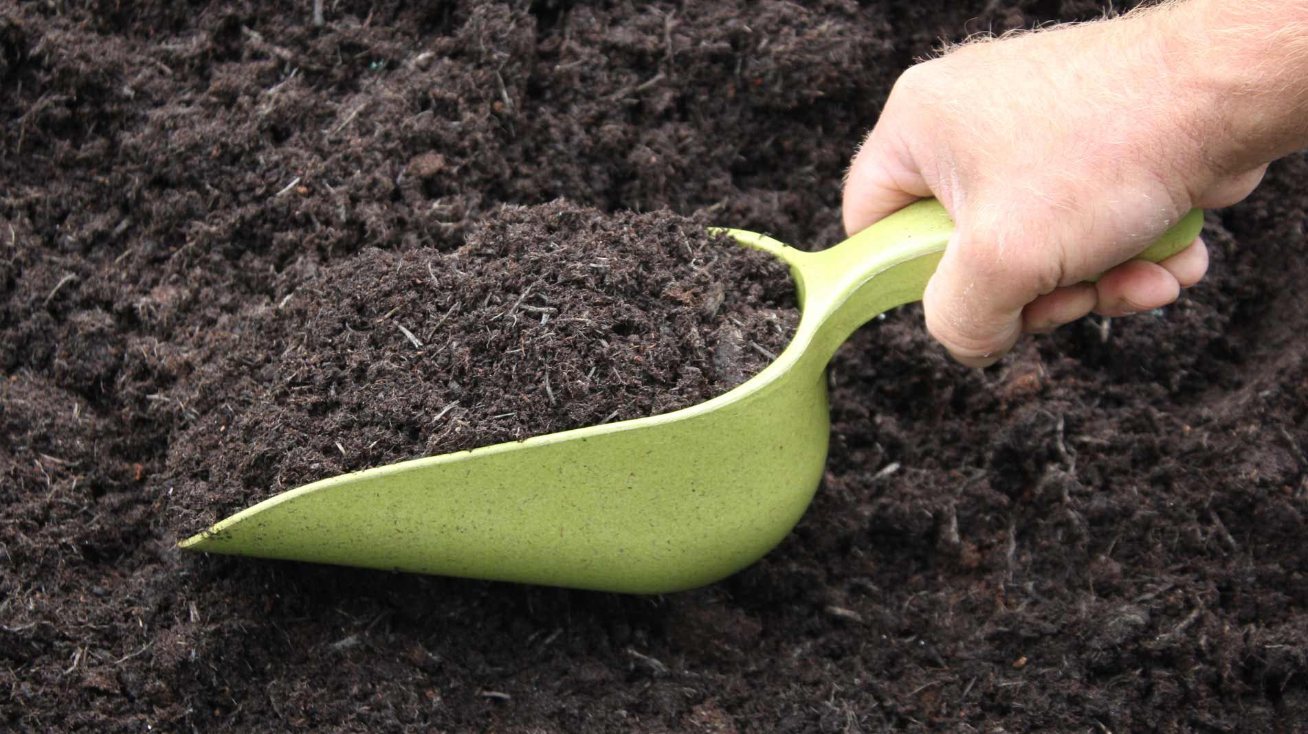 sustainable bamboo scoop from the range of Haxnicks Bamboo eco friendly products