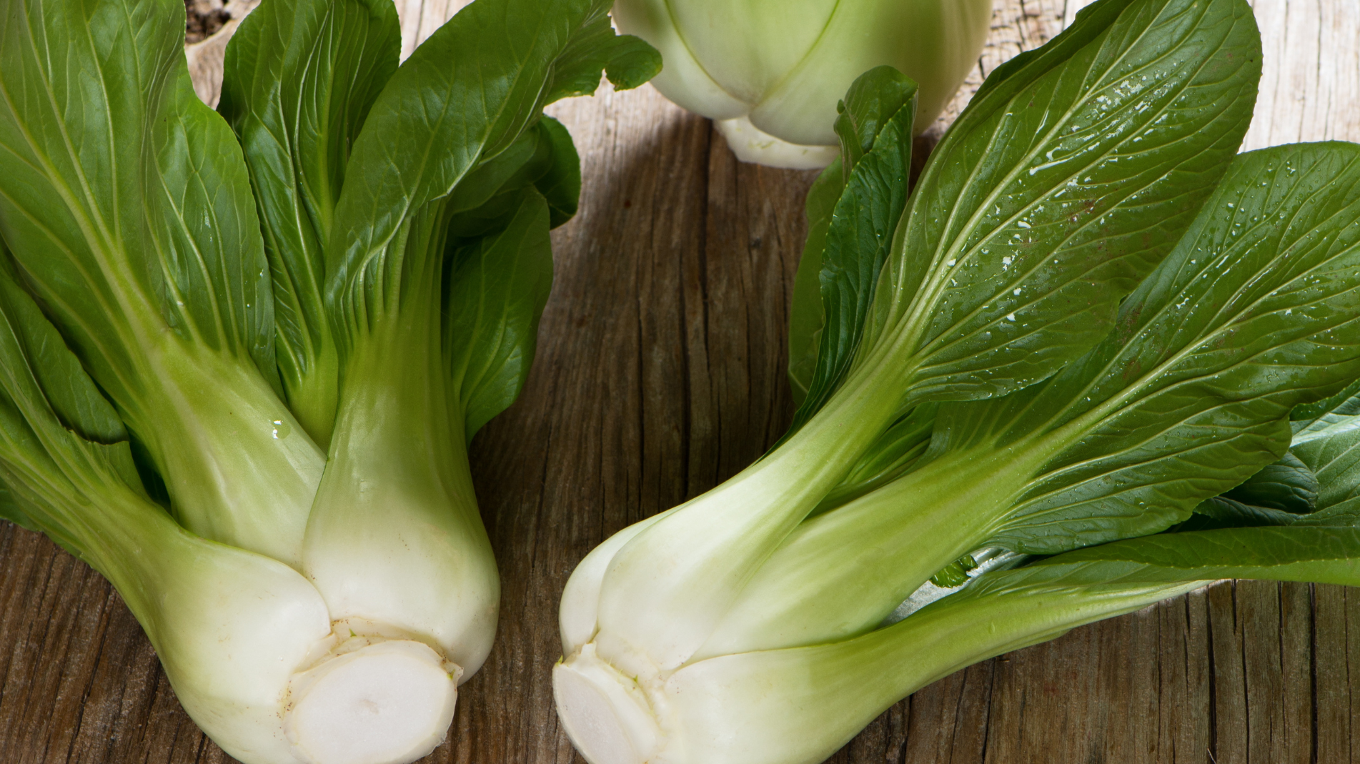 Step by step guide for growing pak choi in the ground