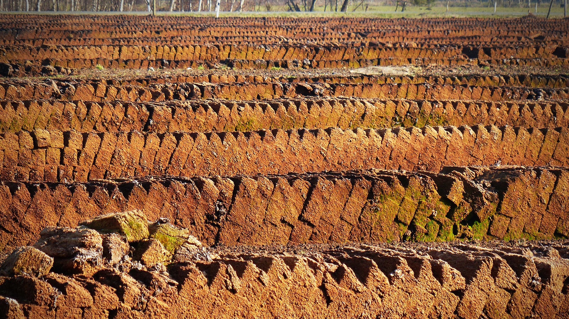 Peat cutting before the ban on peat