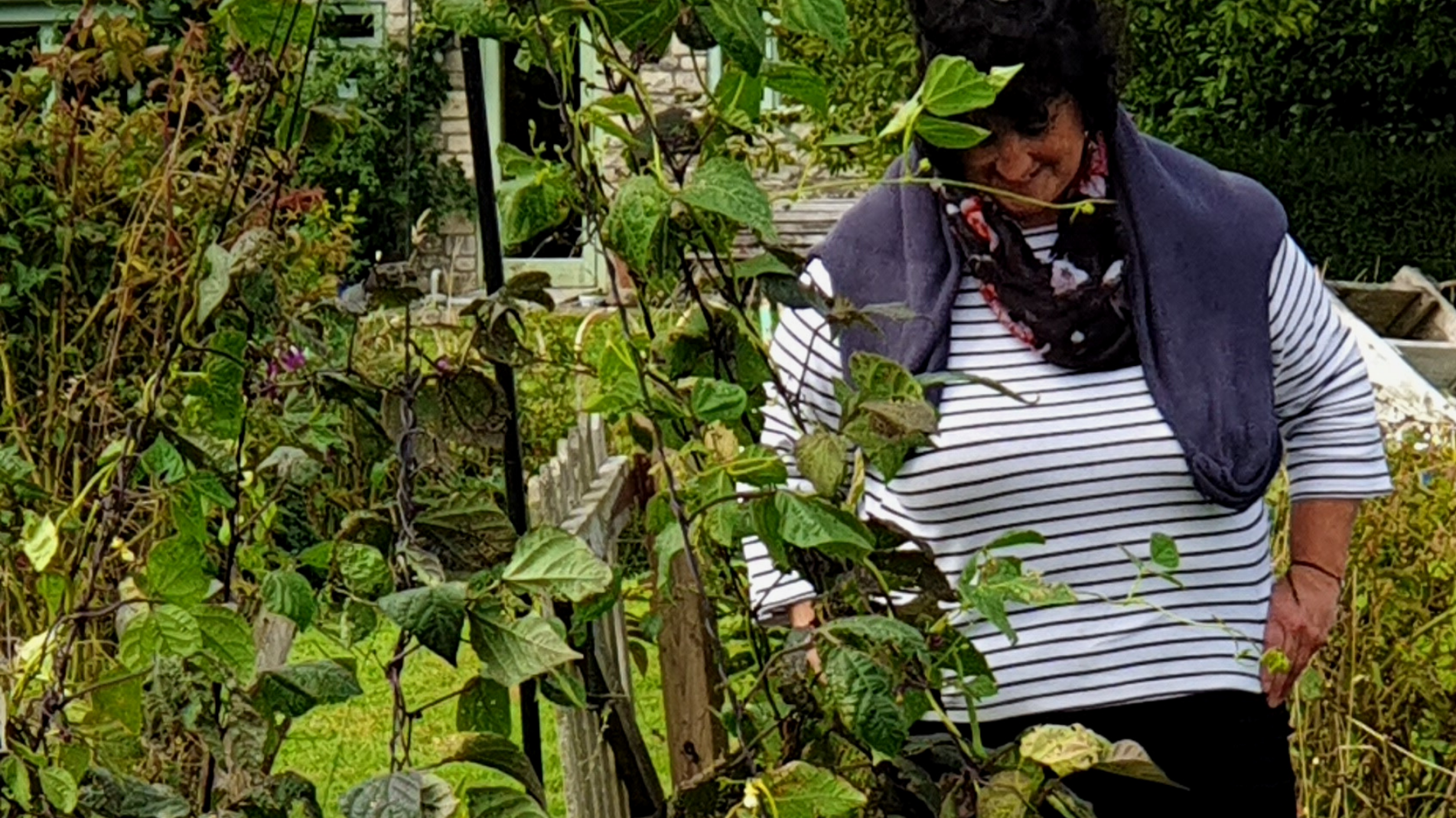 Pippa Greenwood: What to sow in June in your garden