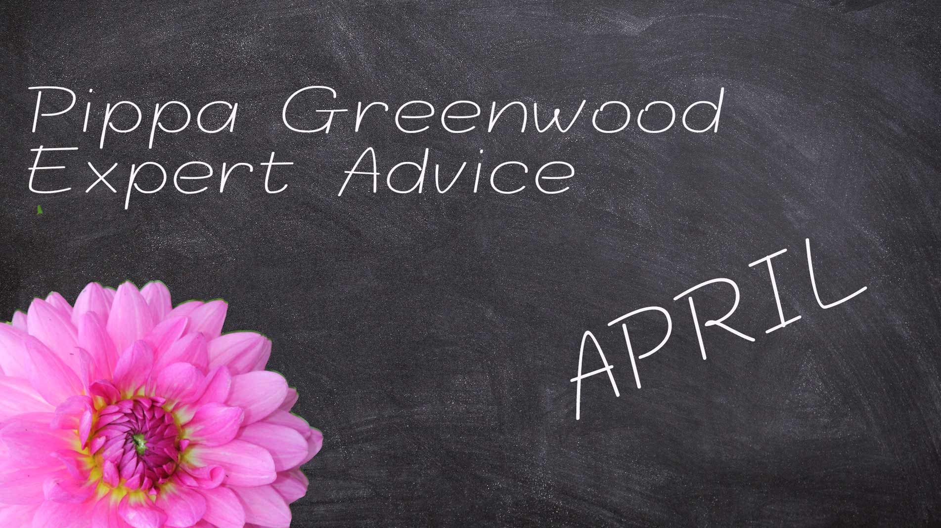 Pippa Greenwood: Haxnicks gardening tips for April