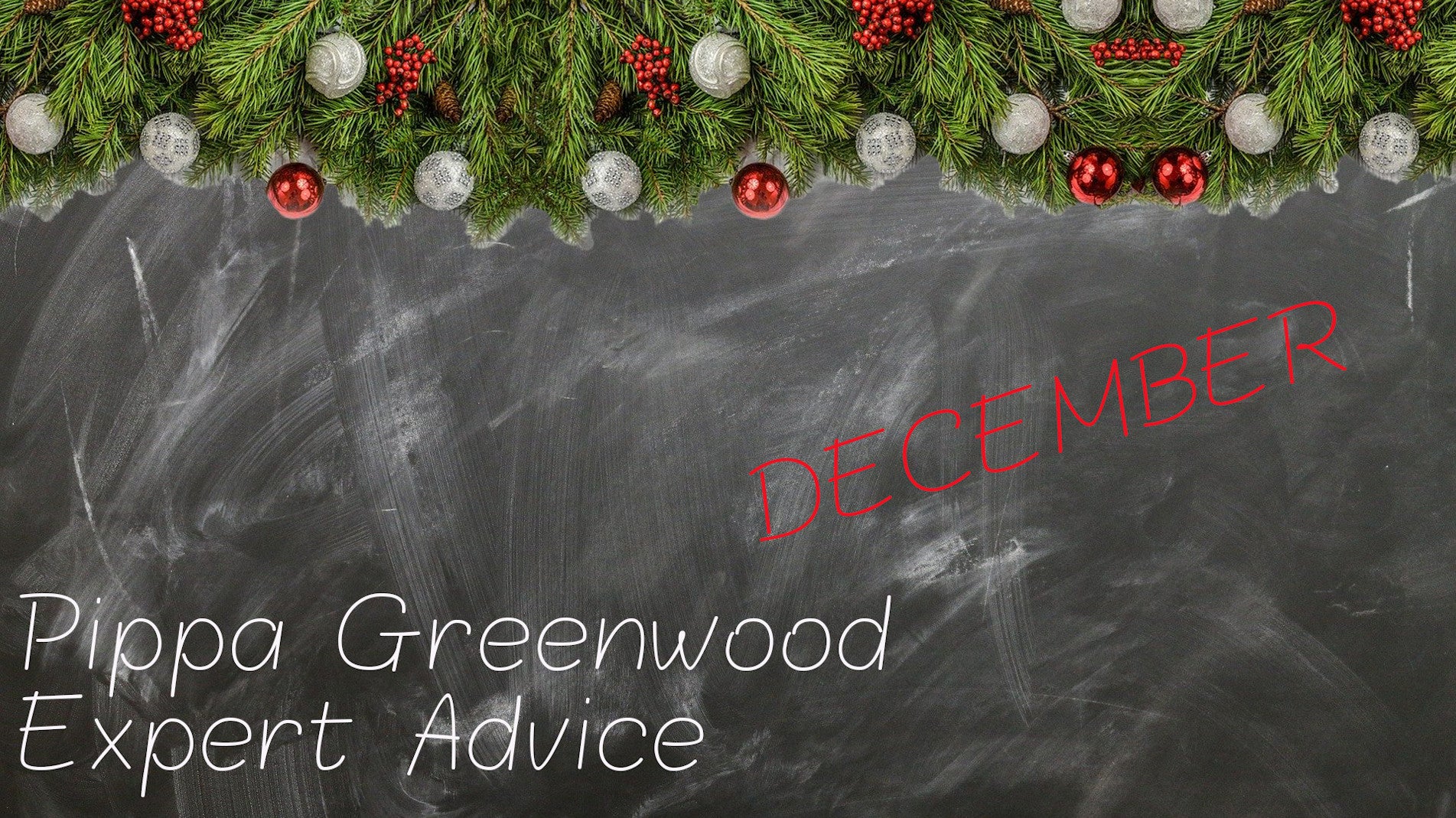 Haxnicks- Pippa Greenwood gardening tips for December- expert advice- gardening in December