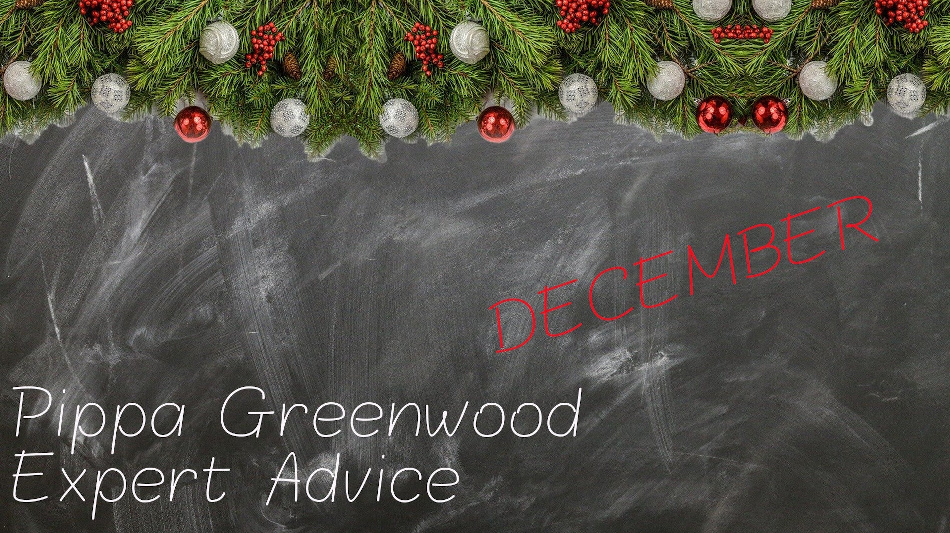 Haxnicks- Pippa Greenwood gardening tips for December- expert advice- gardening in December