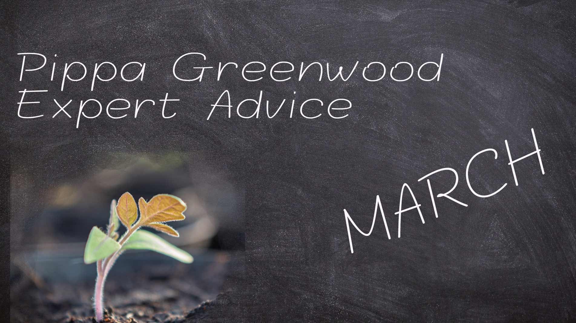 Pippa Greenwood: Haxnicks gardening advice for March