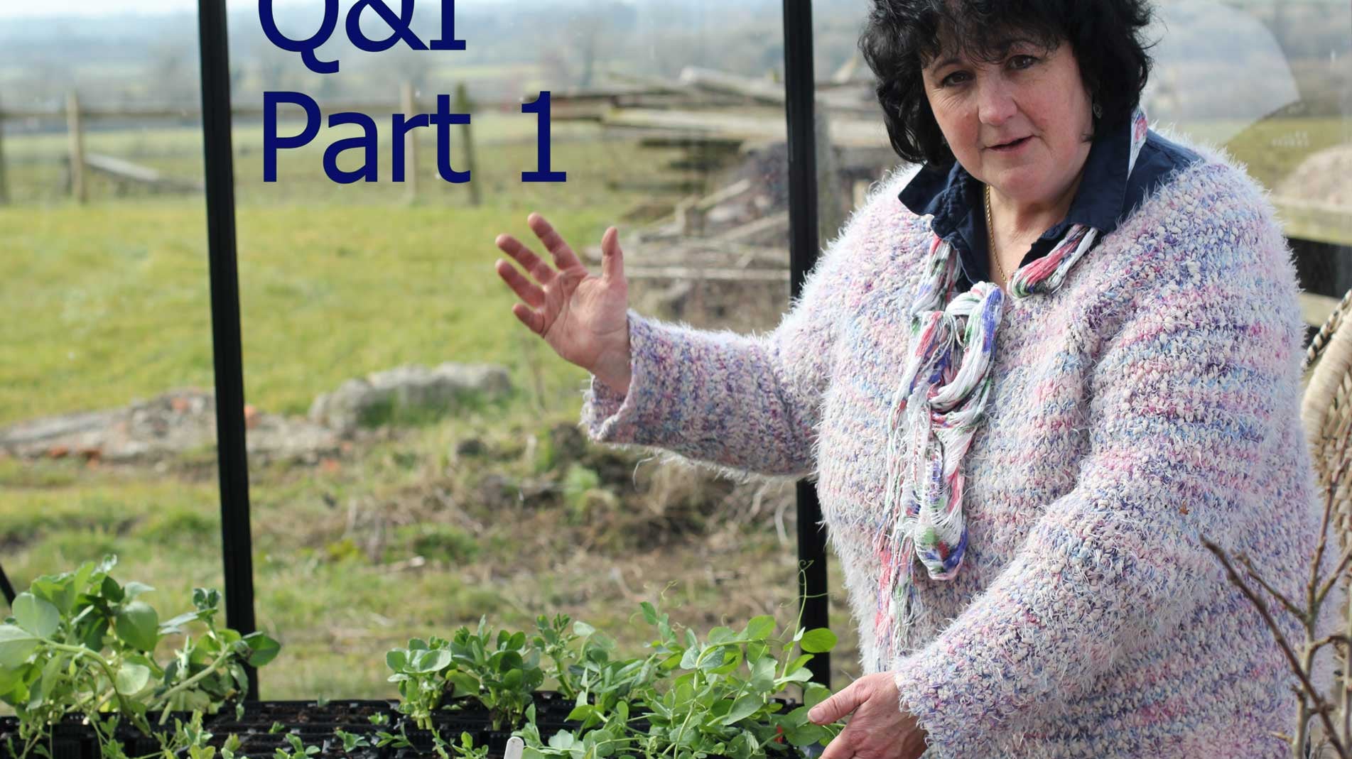 Pippa Greenwood - Q&A - Part I