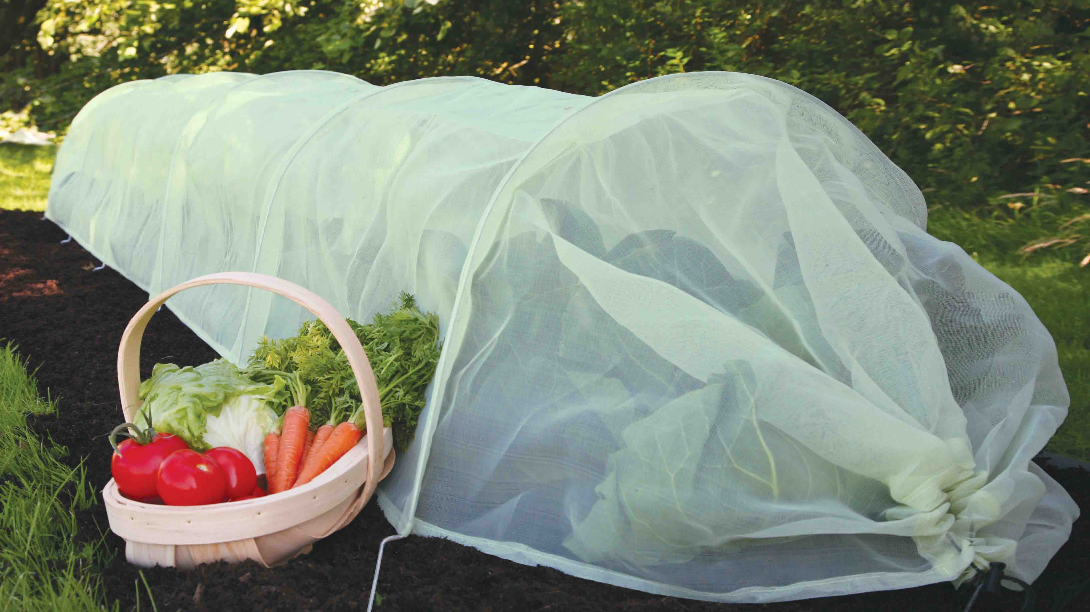 Product Bite: Easy Micromesh Tunnels perfect plant protection