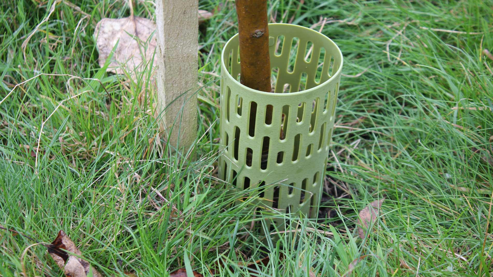 Protect young tree trunks from damage - great for tree planting and growing trees