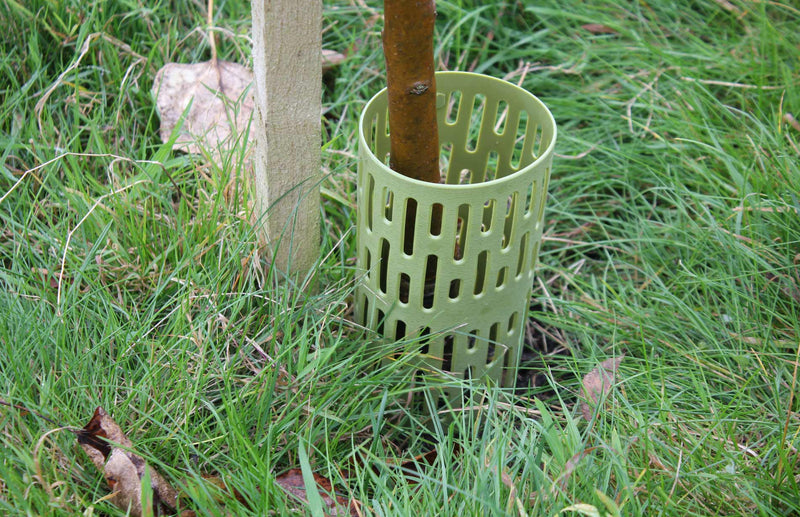 Protect young tree trunks from damage - great for tree planting and growing trees