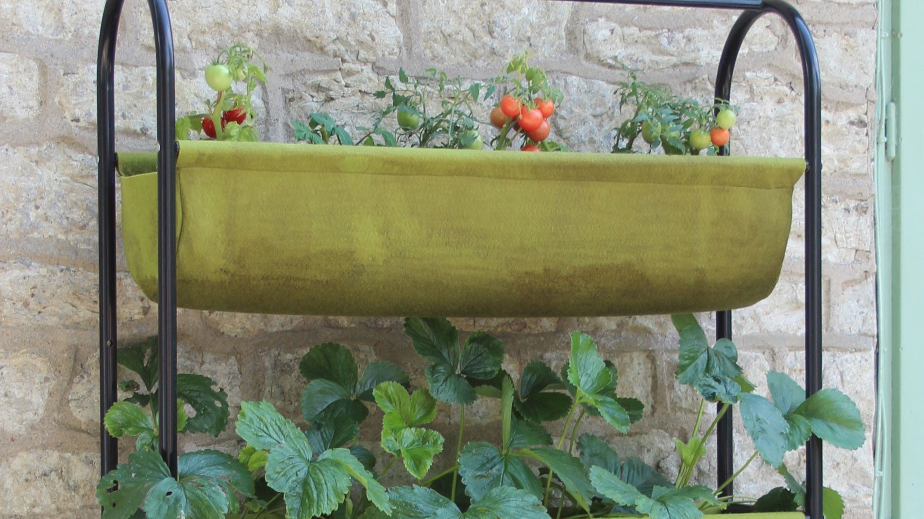 Haxnicks Vigoroot Balcony Garden