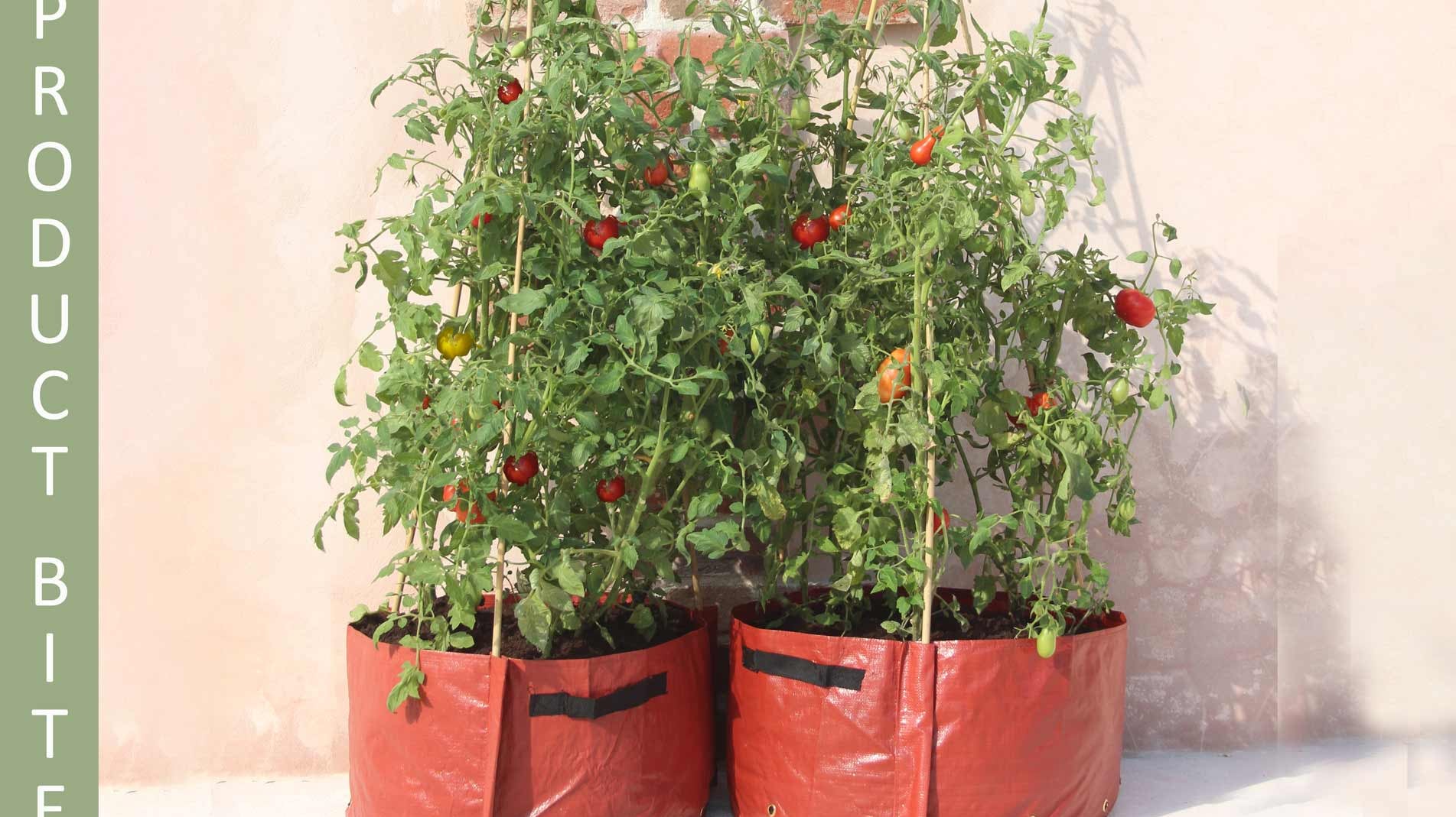 Haxnicks Tomato patio Planters against a wall