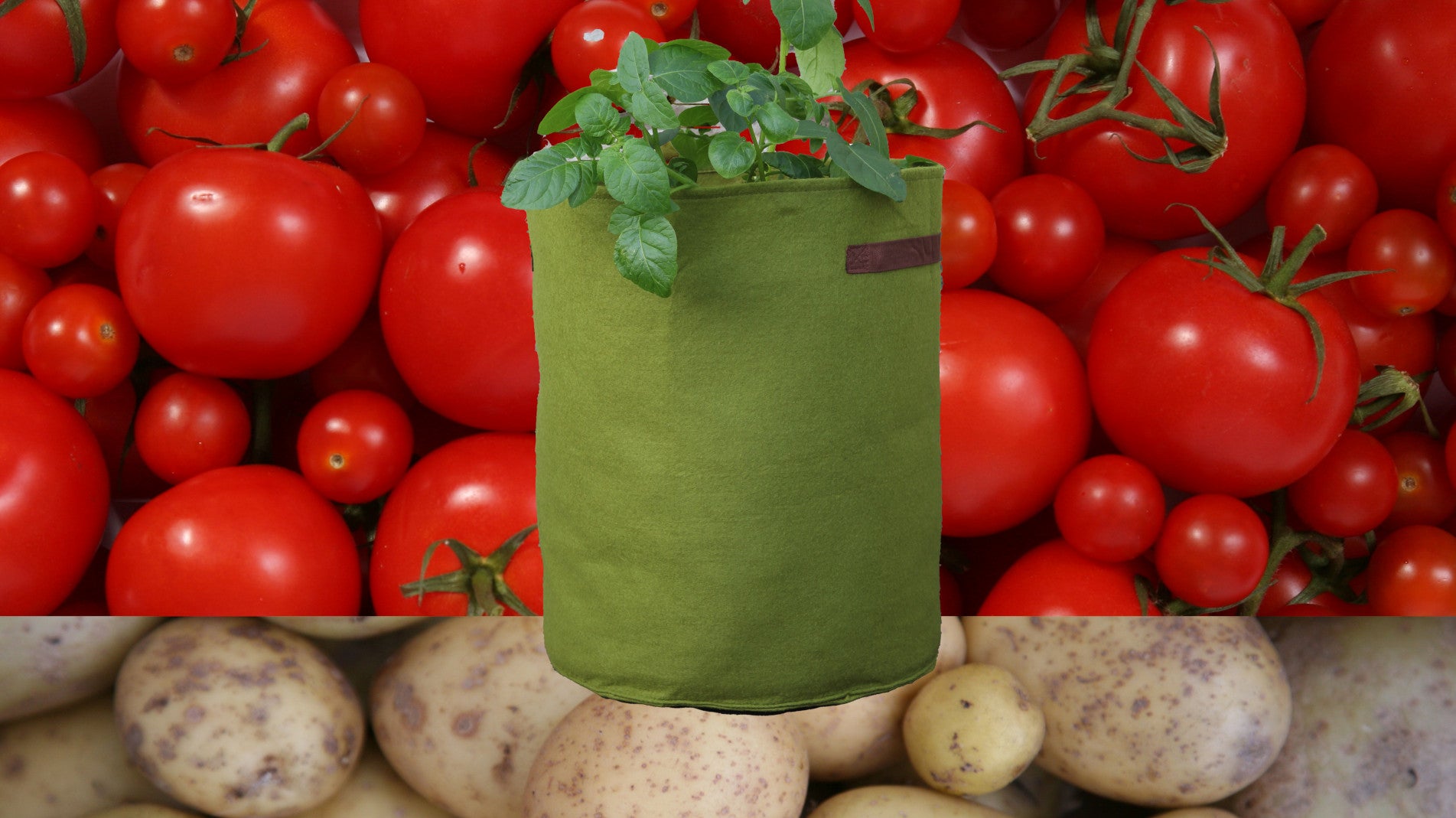 Haxnicks-vigoroot-potato-planter-tomato-planter-urban-gardening-patio-planter