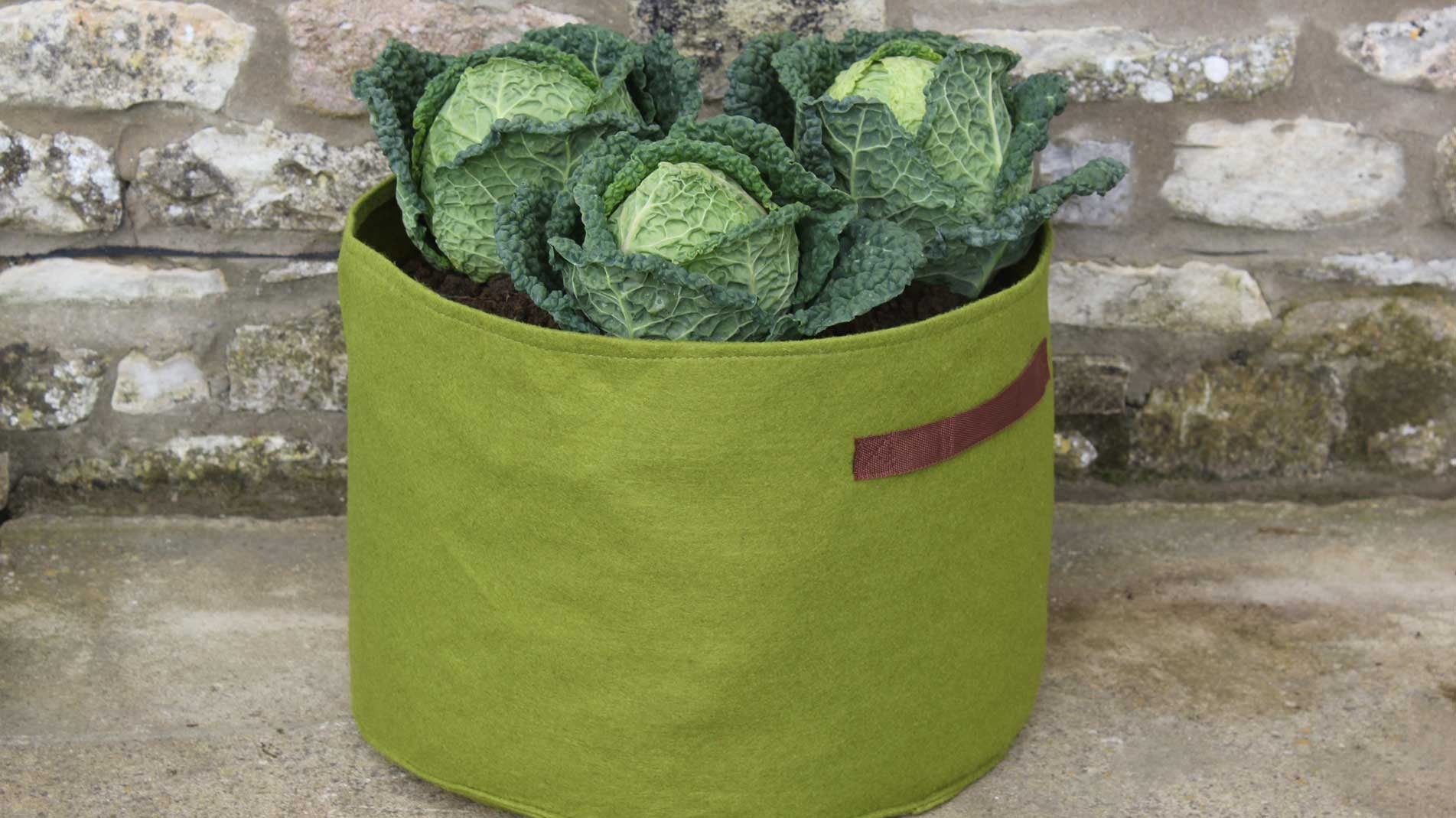 Haxnicks Vigoroot vegetable planter for growing vegetables the best way