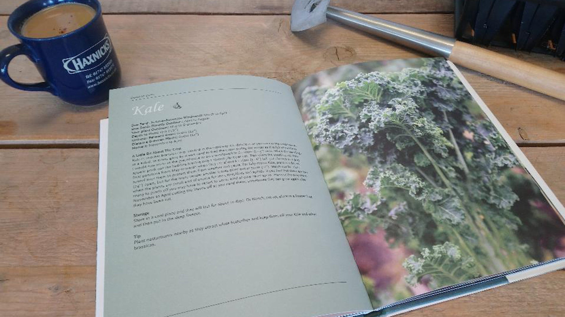 haxnicks down to earth book -Madeleine Cardozo- gardening book- vegetable gardening book