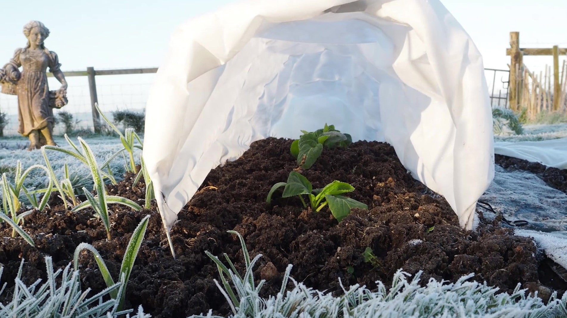 Haxnicks- easy fleece tunnels- plant protection- plant warmer- pest/sun protection