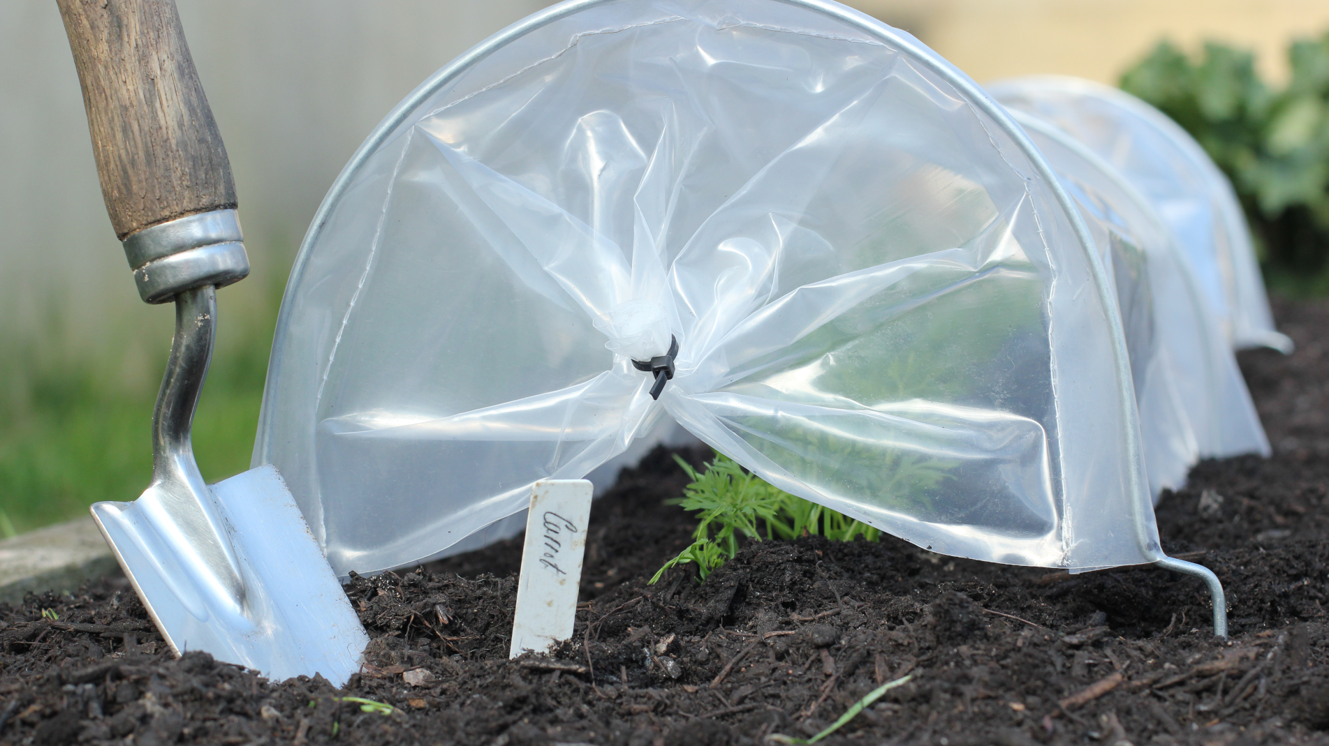 Haxnicks Easy seedling tunnel- how to grow seedlings- seedling protection- plant protection - propagation