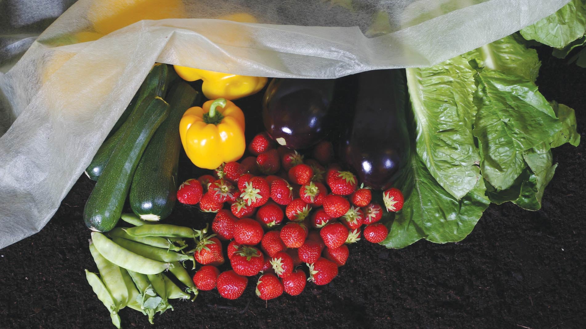 Haxnicks Extra Thick fleece blanket pest weather plant protection