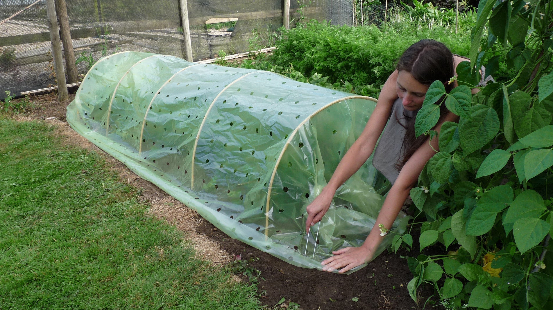 haxnicks- natural bamboo tunnel- plant protection- pest protection- weather protection