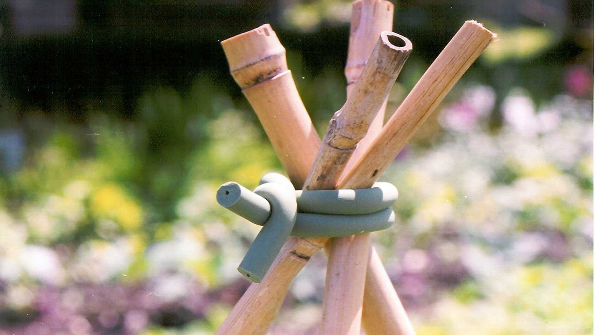 Soft tie plant tie gentle the best way to support bushes, trees and tomato plants