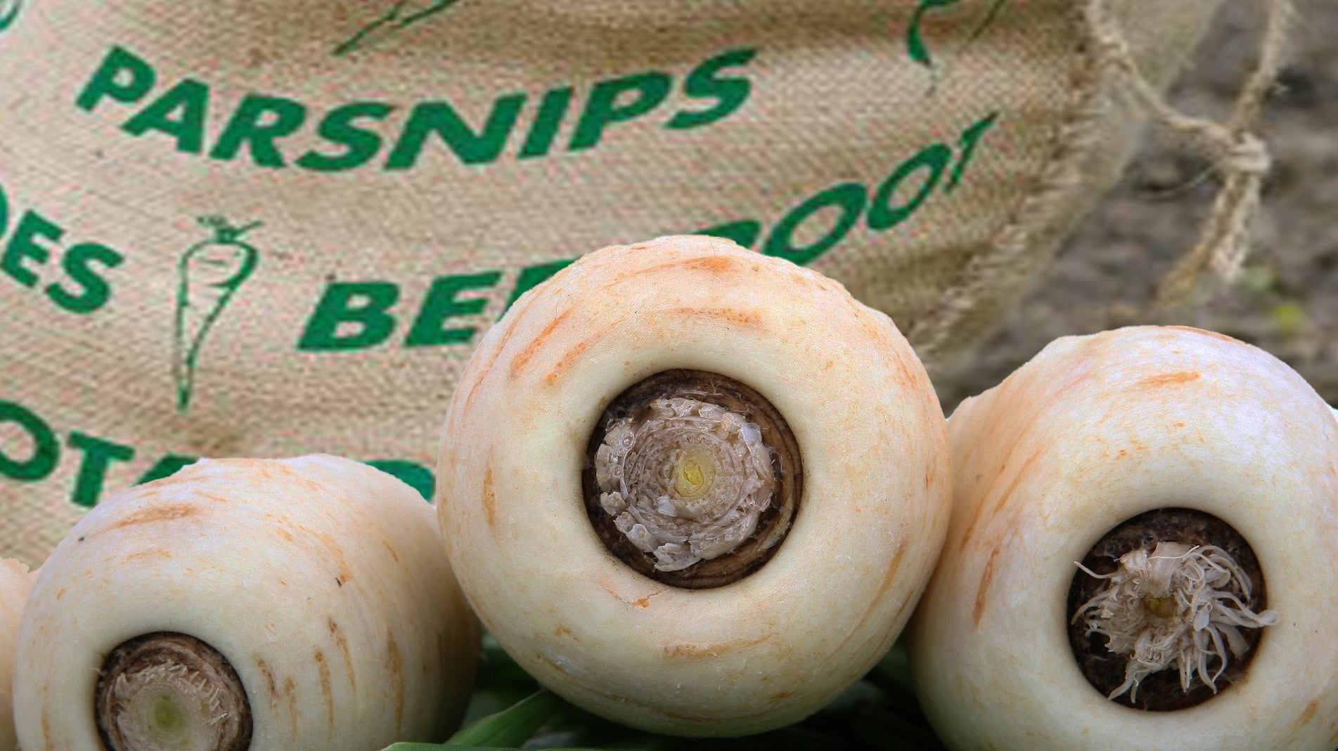 haxnicks vegetable sacks- veg sacks- vegetable storage- sustainable Vegetable storage/gardening