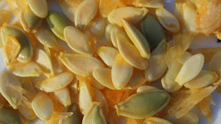 Haxnicks- pumpkin seed uses- pumpkin seed pile image