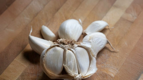 How to Grow Garlic