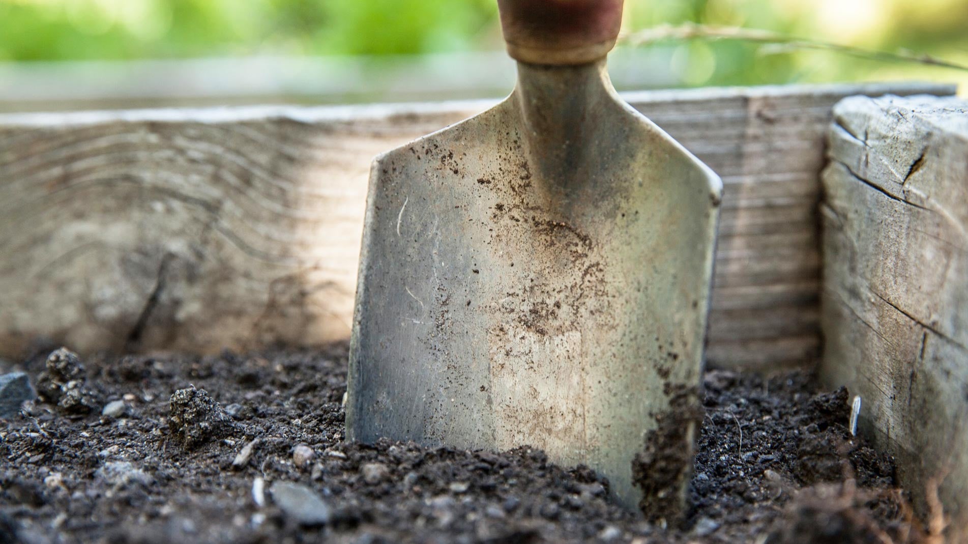 Haxnicks digging spade in the soil
