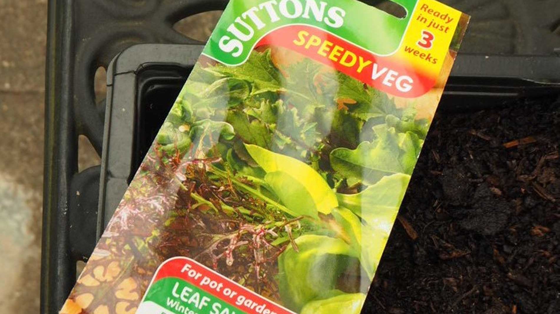 Haxnicks gardening tips and tricks seeds to plant in Spring