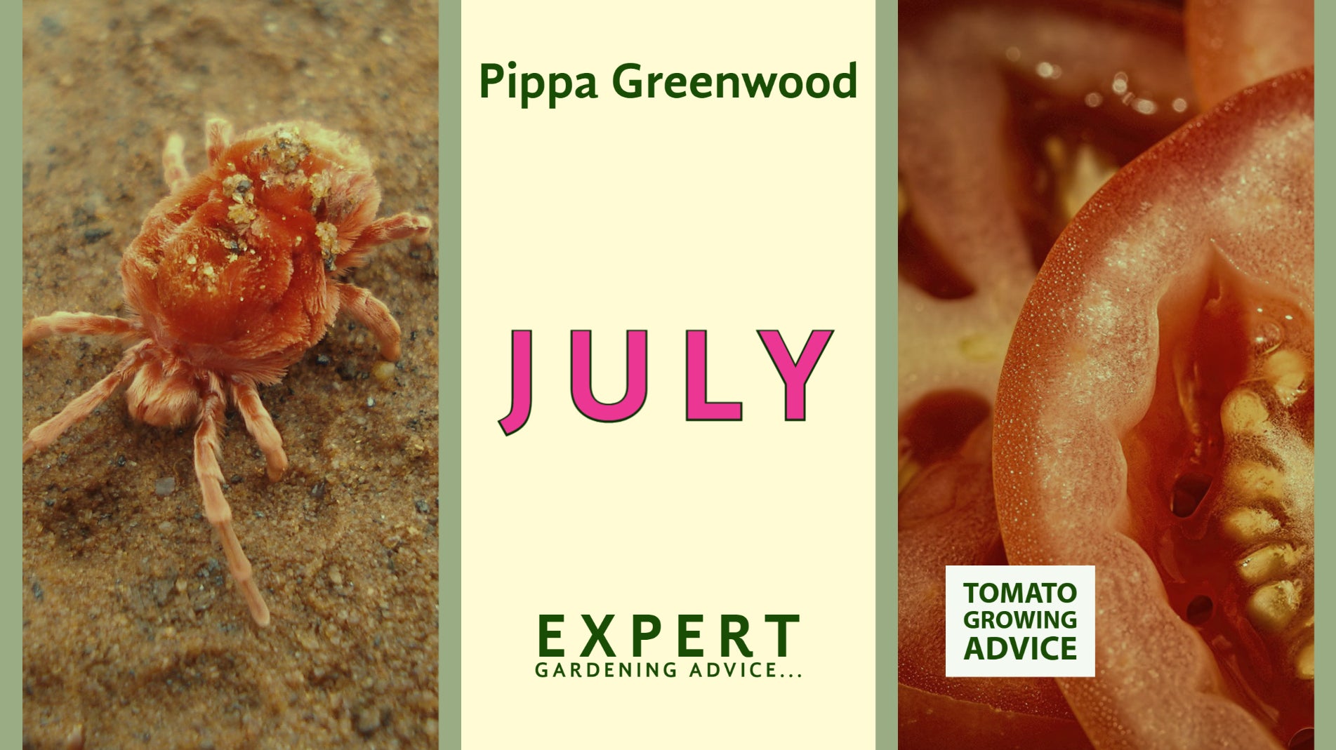 Pippa Greenwood Gardening advice for July