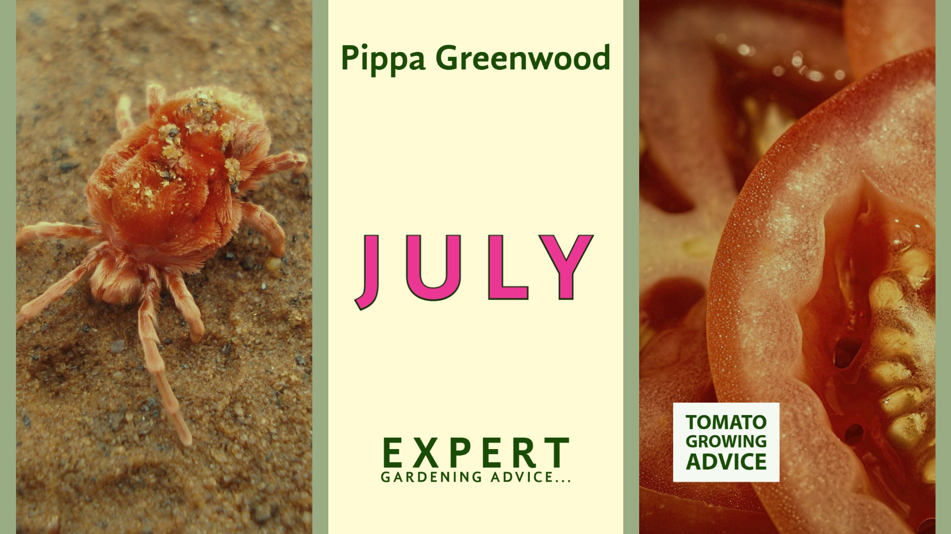 Pippa Greenwood Gardening advice for July
